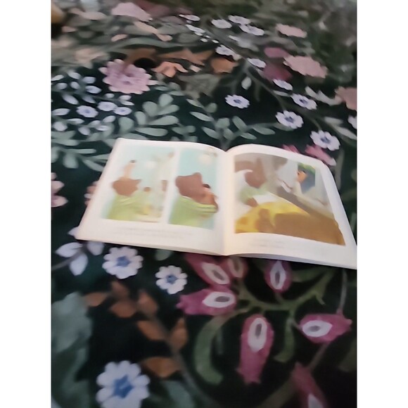 Who Wants and Old Teddy Bear? by Ginnie Hofmann 1978 Childrens Softcover Book - Picture 5 of 9